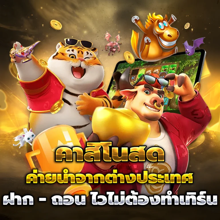 SITNEE เครดิตฟรี
